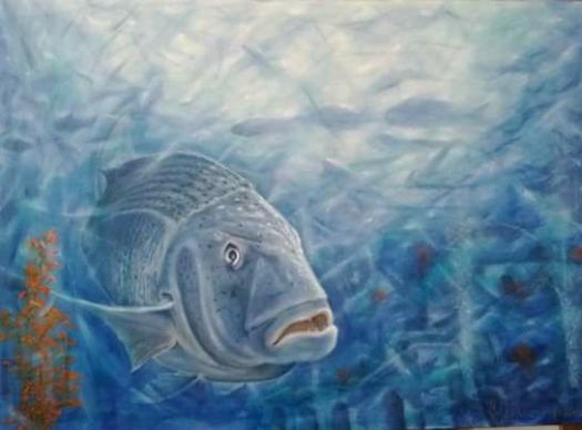 17757182_271692766622844_2399393953687361089_n