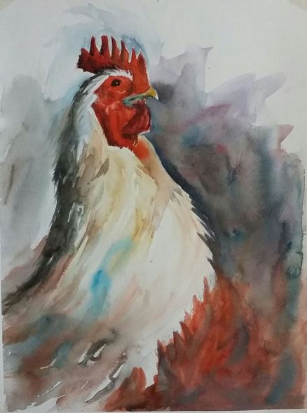 29665197_1990052367983171_8198957610449693141_o