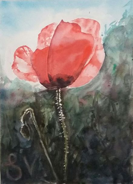 31947991_2009200526068355_2205301926508101632_o