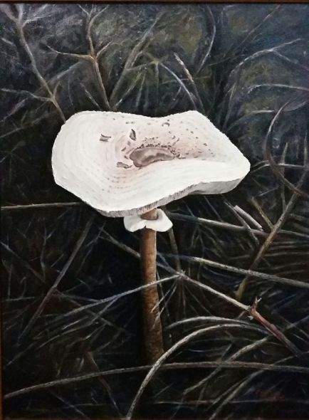 44090607_2137909493197457_4692174422813966336_o