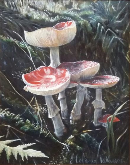 45337768_2148946295427110_3437388014911750144_o