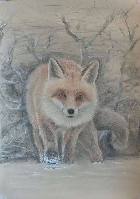 51444034_2210297455958660_381904824058249216_o