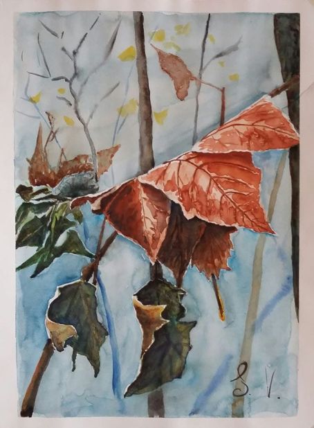 75271509_2419785475009856_7759915252761755648_o