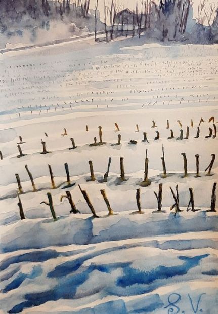 GRANOTURCO SOTTO LA NEVE