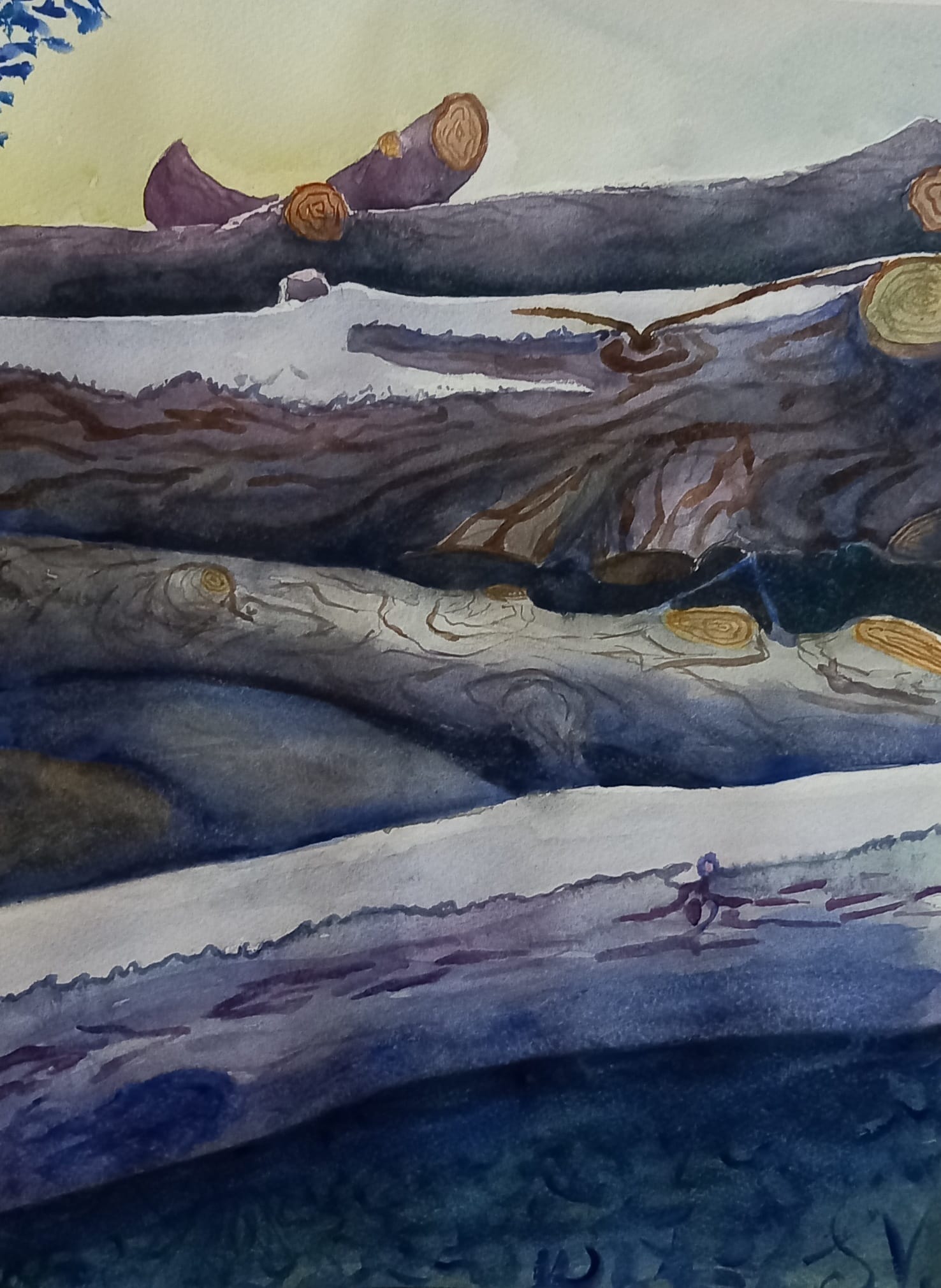 catasta di legna acquarello