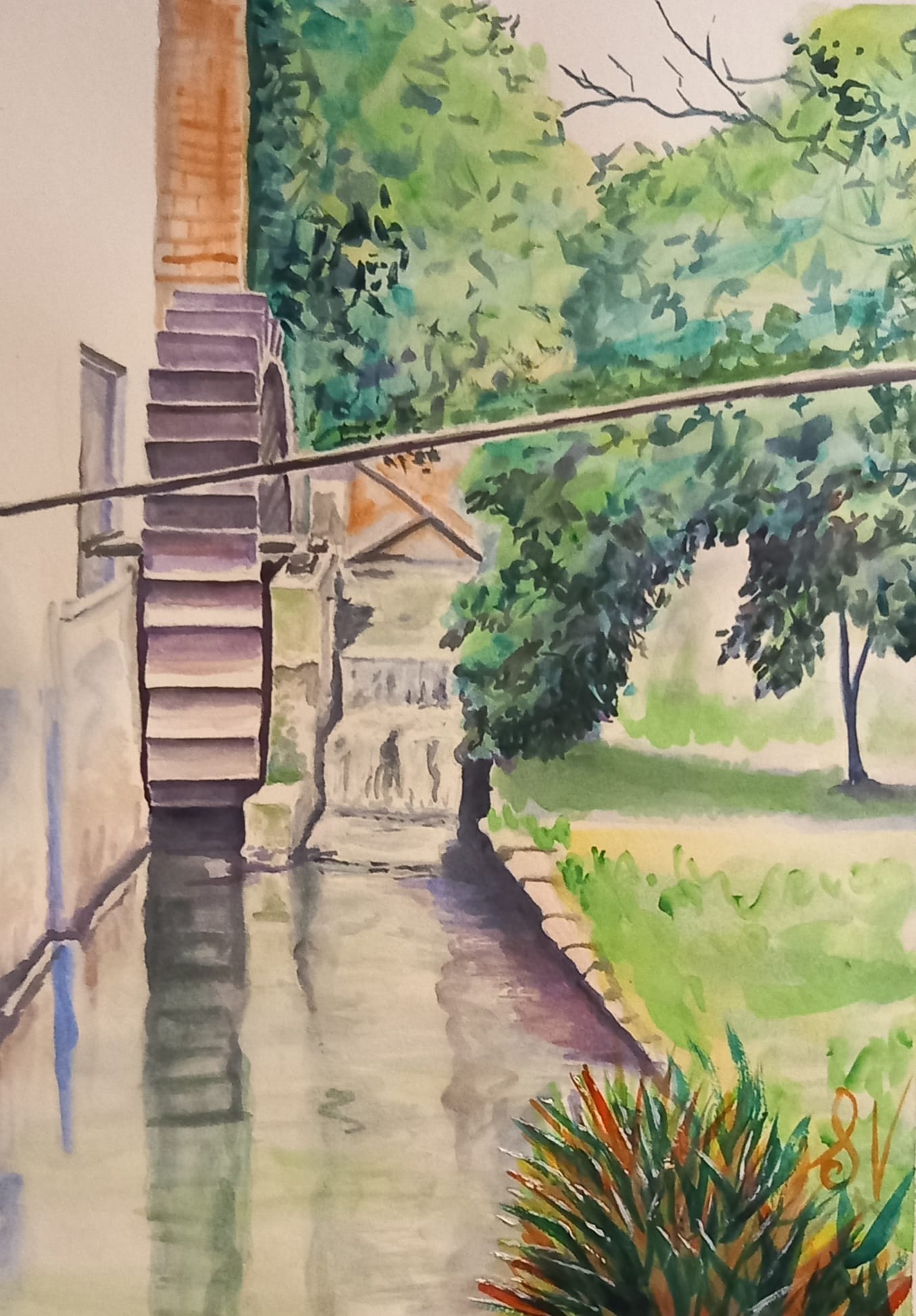 chi va al mulino....acquarello