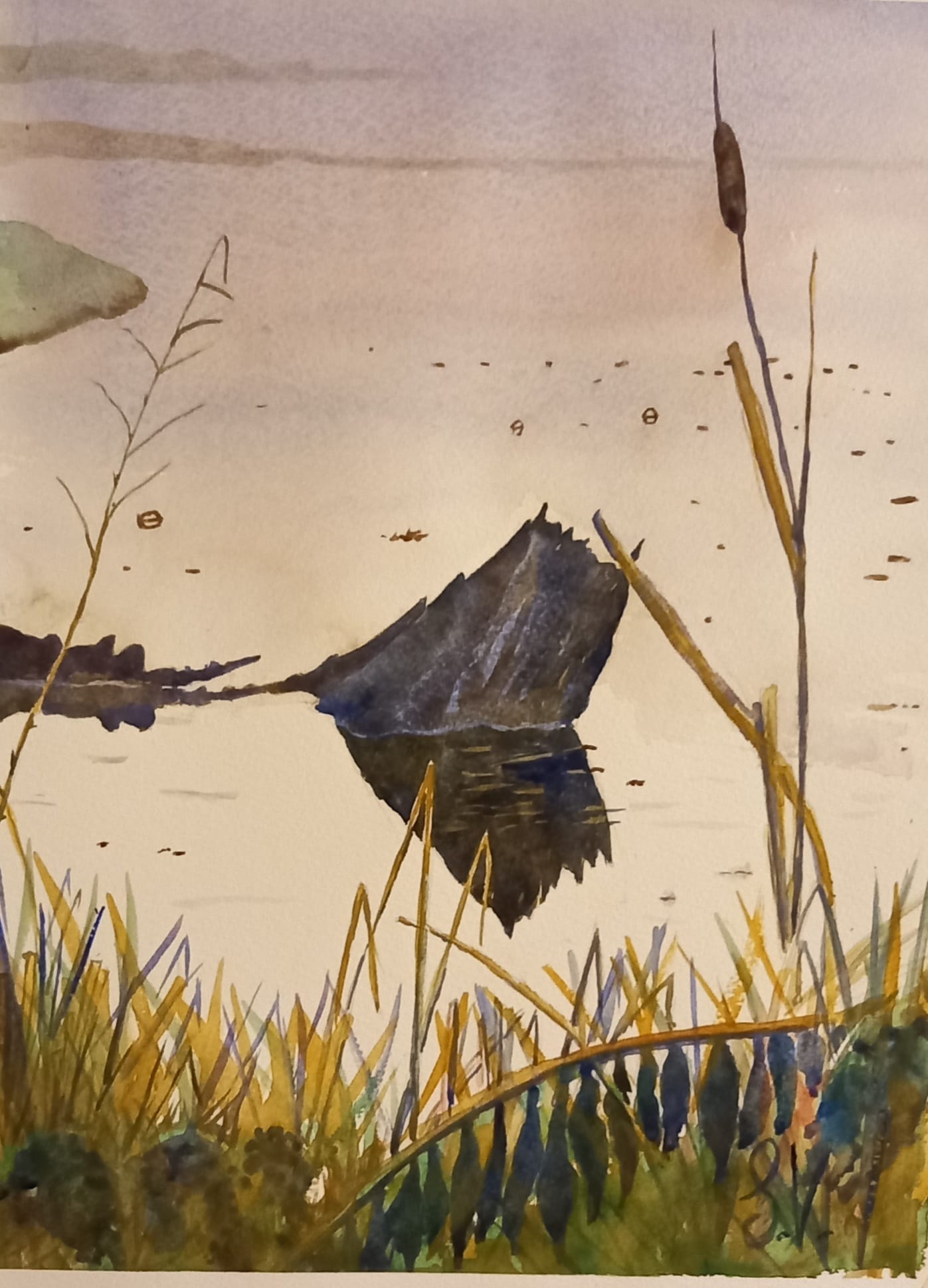 lo stagno acquarello